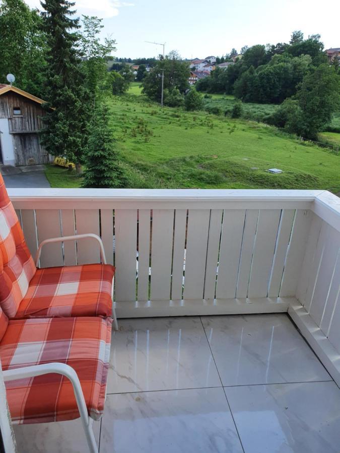 Andrea'S Apartment Rinchnach Εξωτερικό φωτογραφία